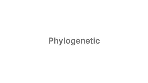 phylogenetic pronunciation